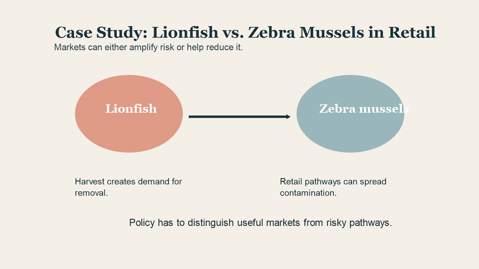 Comparison diagram for lionfish and zebra mussels in retail pathways.