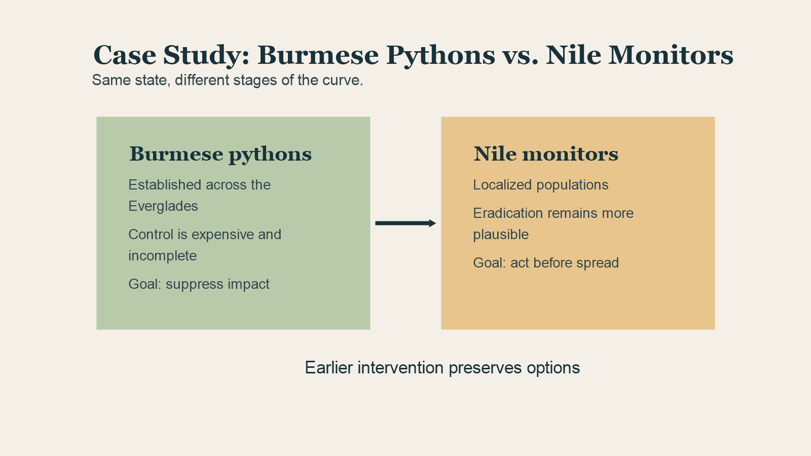 Comparison diagram for Burmese pythons and Nile monitors.