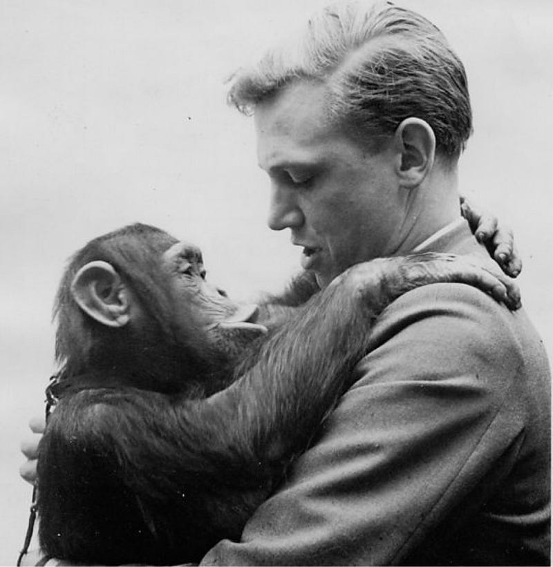 Young Attenborough 
