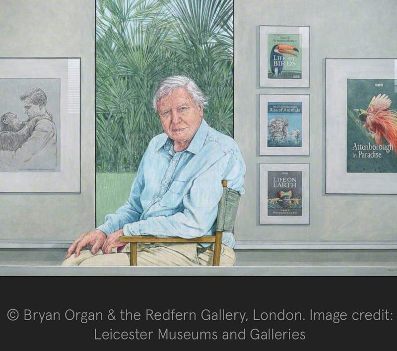 David Attenborough: How One Quiet Voice Made the Whole World Listen