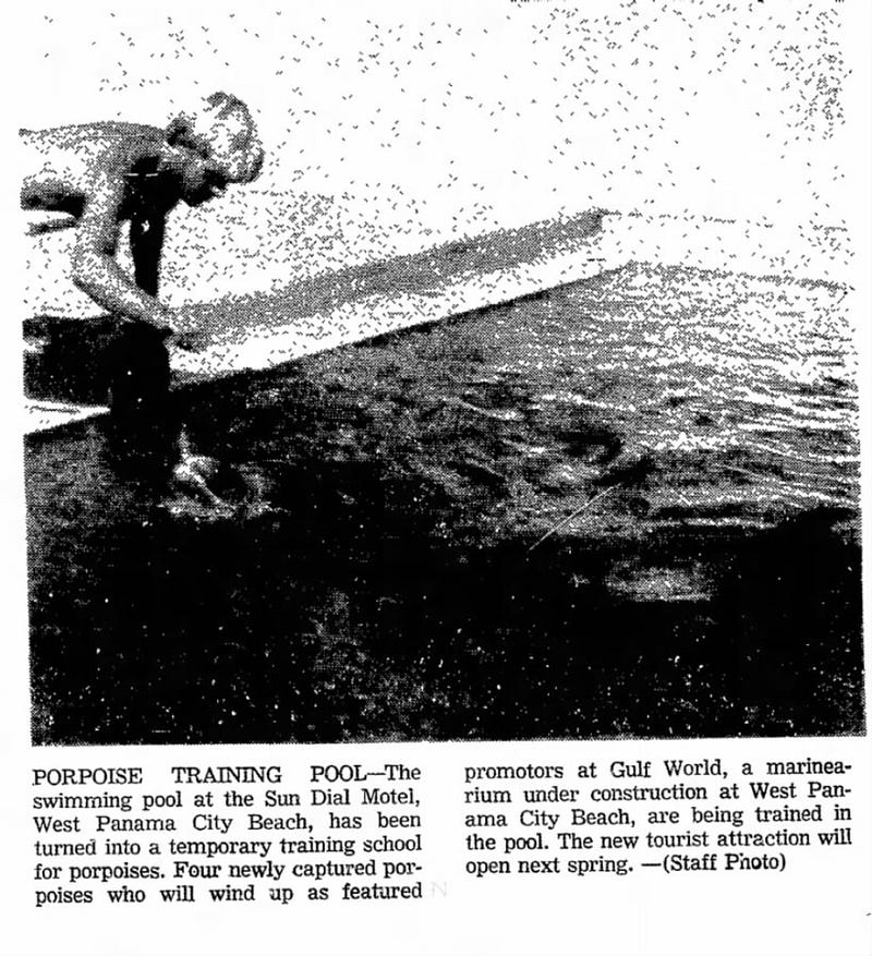 Panama City News, October 17th, 1969