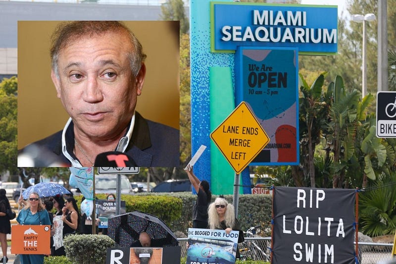 Eduardo Albor (top left) superimposed over protests outside of the Miami Seaquarium ~ Source