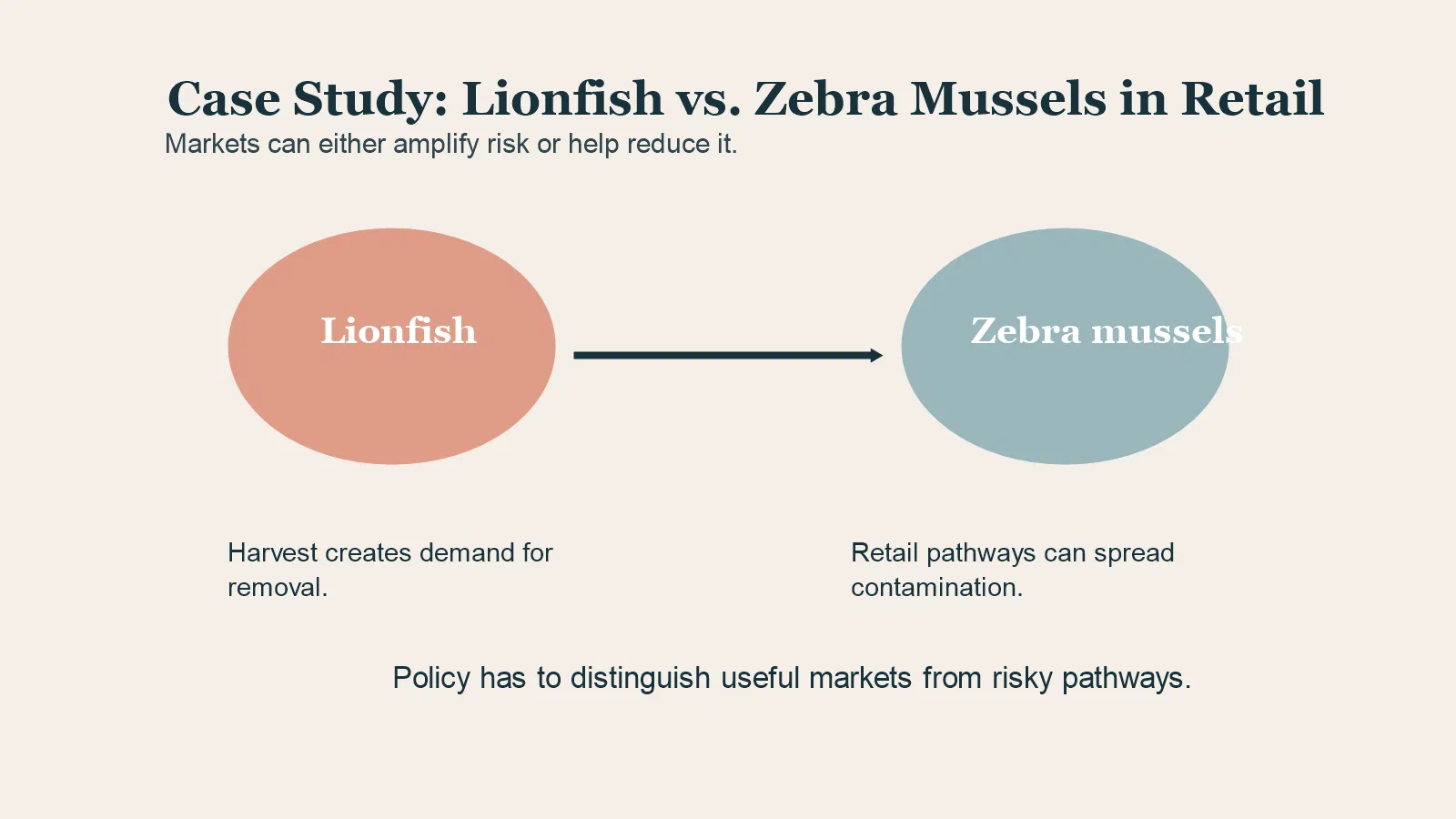 Comparison diagram for lionfish and zebra mussels in retail pathways.