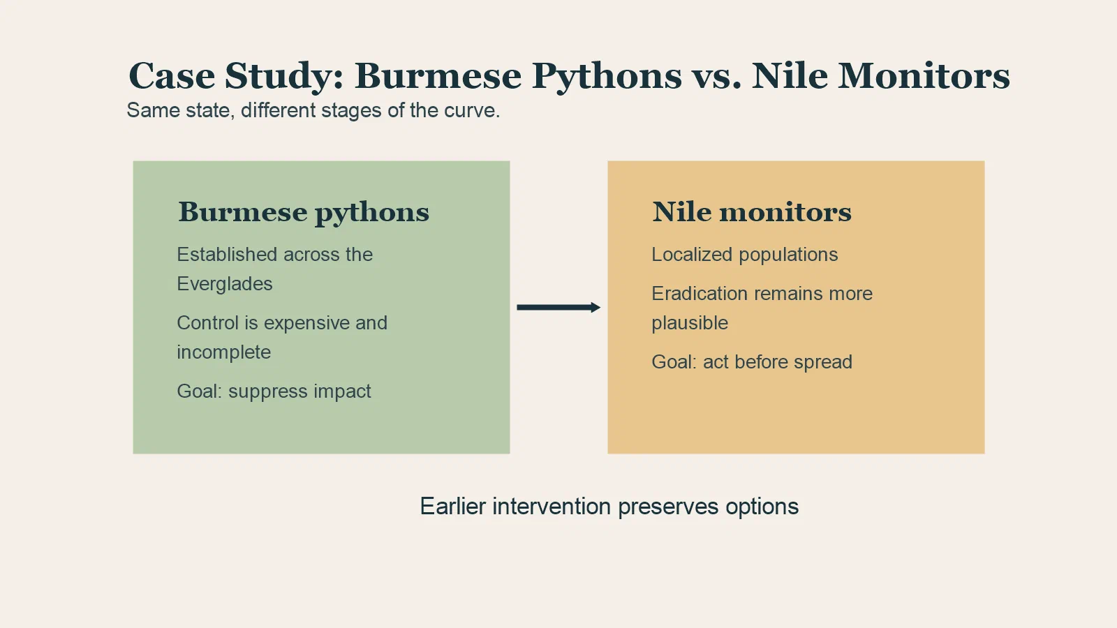 Comparison diagram for Burmese pythons and Nile monitors.