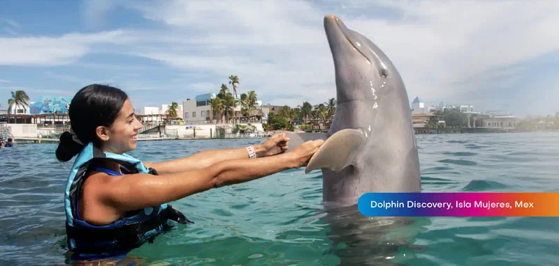 Dolphin Discovery in Isla Mujeres ~ Source